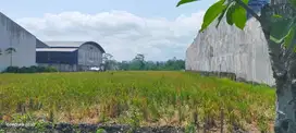 Dijual 2,5 jt per meter Lahan industri Di poros Pakisaji Kepanjen