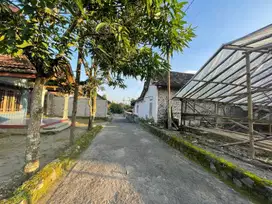 Jual Tanah Area Manisrenggo Klaten 200 jtan SHM
