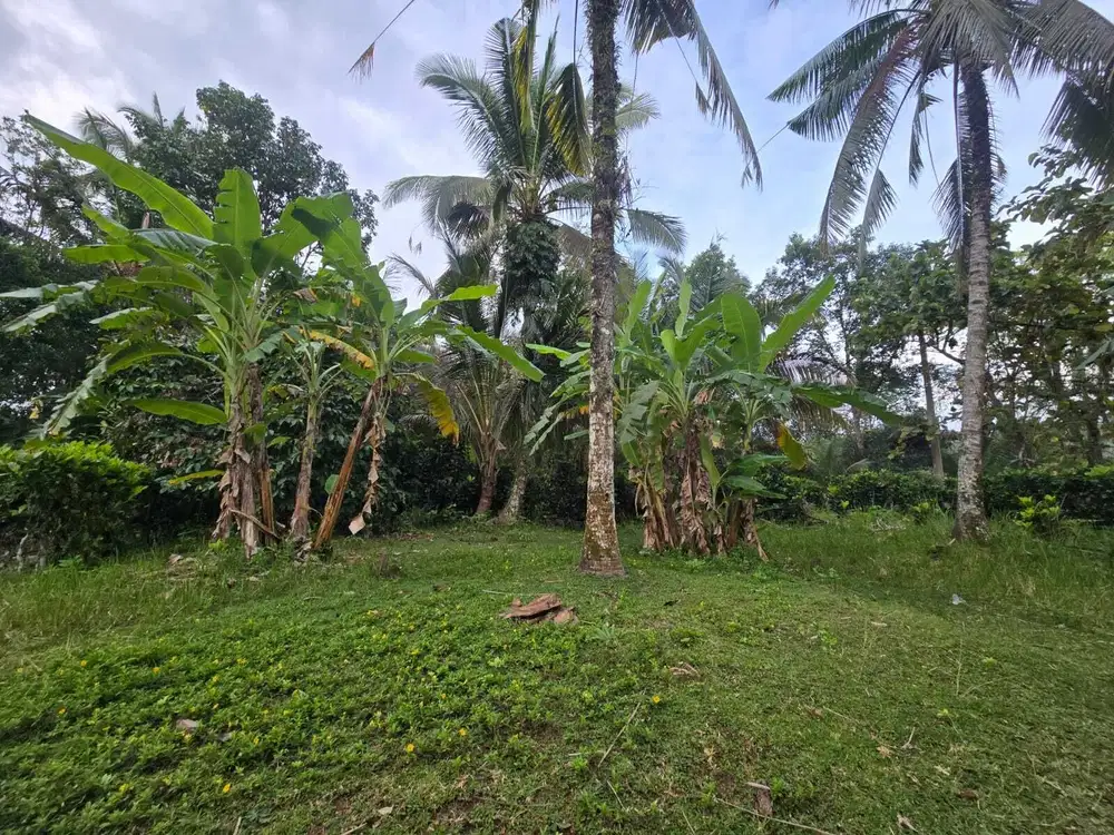 Dijual Tanah Luas 2,35 Ha (225 Are) – SHM – Harga Langsung Pemilik
