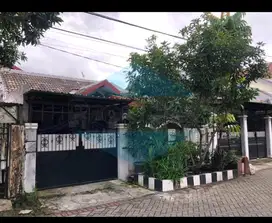 Wiguna Selatan,Rungkut