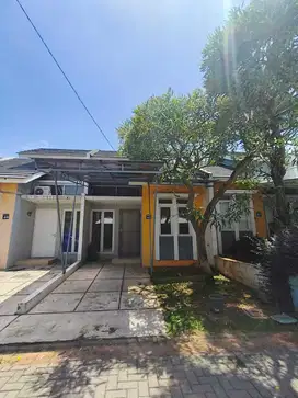 DISEWA RUMAH THE RIVER