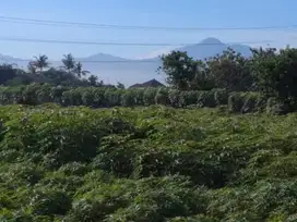 Jual tanah di tanah sereal bogor,SHM 3Km stasiun cilebut