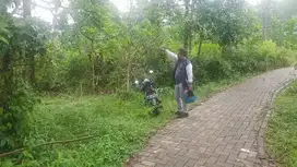 Dijual Tanah Kebun murah di Pandeglang Banten kota