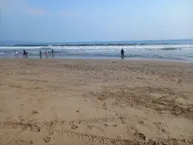 tanah 2 hektar pinggir pantai kalianda