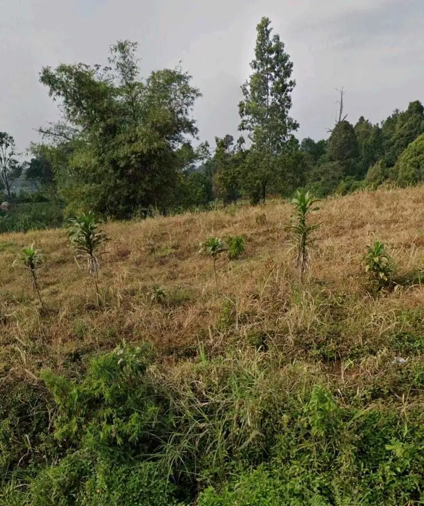 Dijual Lahan Kebun 7,000m2 SHM di kaki Gunung Salak Cijeruk Bogor