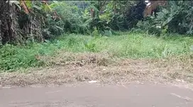 Dijual Tanah 207 M² di wargun Lebak Banten cocok untuk bikin villa