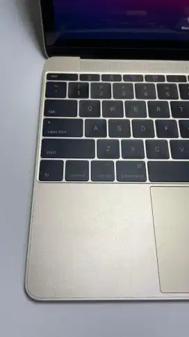 Apple Macbook Retina Gold