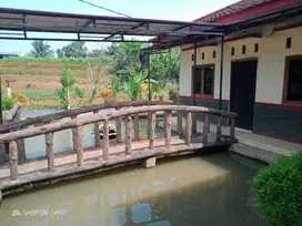 Rumah Villa Murah Tanah  Luas, Desa Sukawening Dramaga Kabupaten Bogor