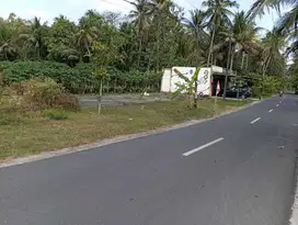 Tanah SHMP 4000m2 di tepi jalan Aspal, Tronton Masuk