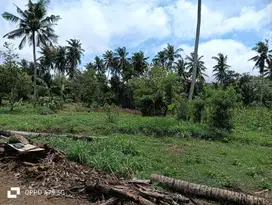 Tanah di prabu Areguling dekat Kuta Mandalika