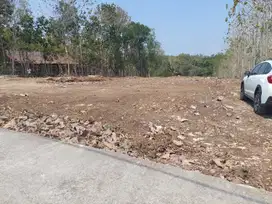 Tanah SHM 6000m2 di dekat Polres Kulonprogo