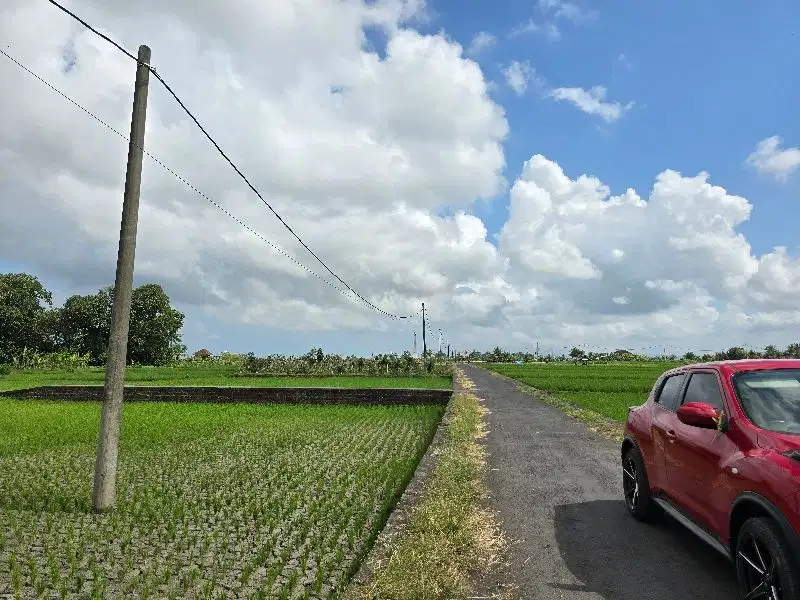dijual tanah datar dekat pantai kelating tabanan bali