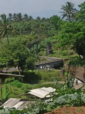 Kebun view bagus gunungronggo tajinan malang