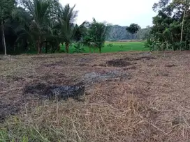 Tanah Kebun Dijual Murah di Wargun untuk bercocok tanam