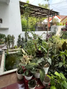 Rumah adem asri siap huni di kawaluyaan buah batu soekarno hatta