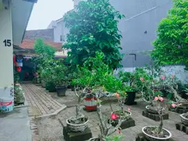 Rumah LT 13x17M2 Harga Termurah Di Medan Johor
