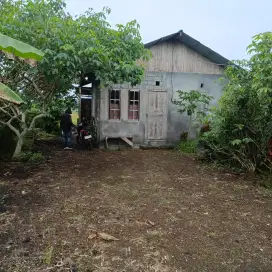 Dijual rumah milik pribadi harga terjangkau