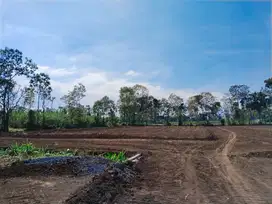 Tanah Kavling  Strategis Pakis Malang, Dekat Pintu Tol Pakis