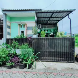 Dijual Rumah Murah Di Medokan Ayu Rungkut Surabaya