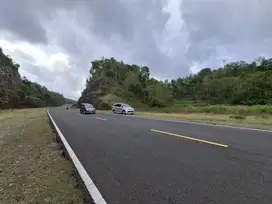TANAH 1.75Ha MANGKU JALAN JJLS, SANGAT ISTIMEWA, TERMURAH DI KELASNYA