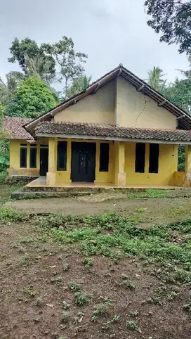 Rumah Dijual Murah Di Pandeglang 931 M² SHM