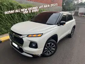 Jual Suzuki All New Grand Vitara 2023 KM LOW