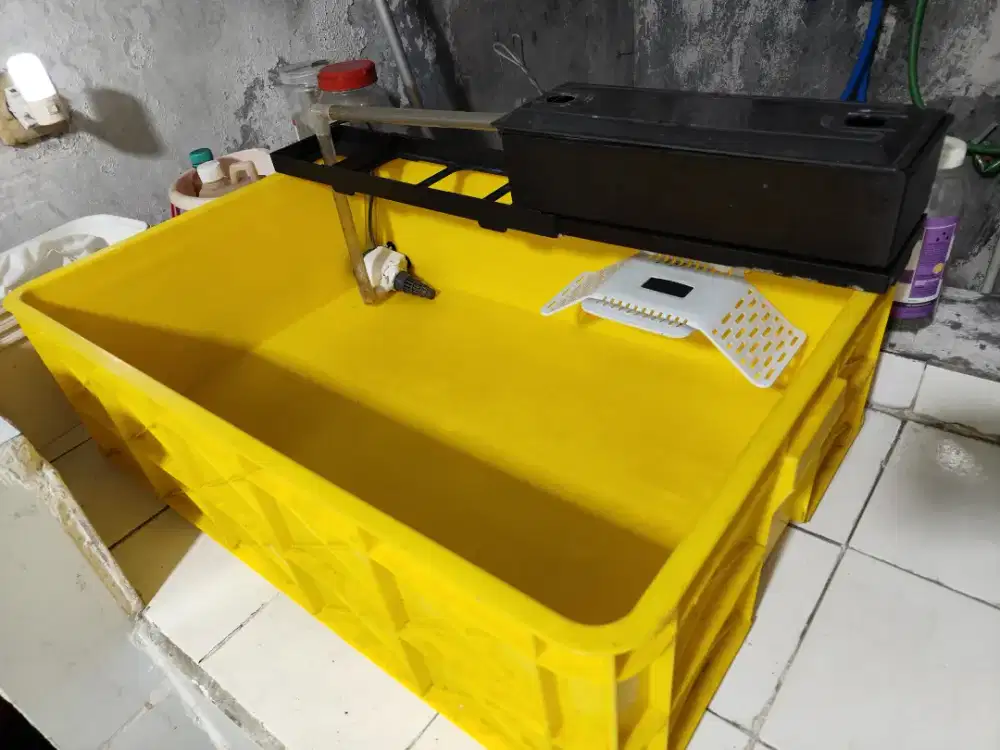 Box setup kura kura air(borong aja)