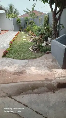 Disewakan Bedeng 1 Lantai di Sekojo Ajend Bebas Banjir