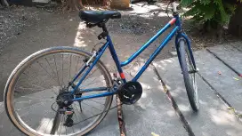 Jual sepeda bekas merek polygon