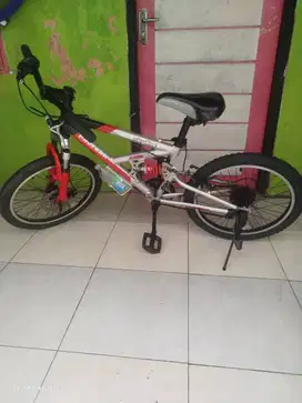 Sepeda polygon 20