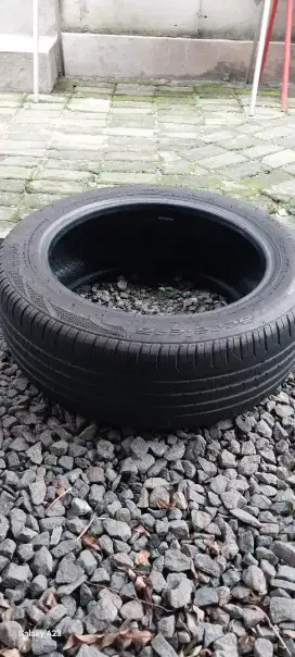 Ban Accelera 195/55/R16