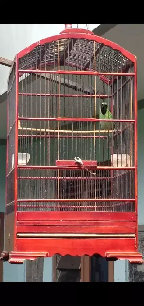 Burung prestasian