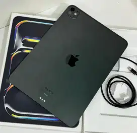 ipad pro m4 512gb resmi