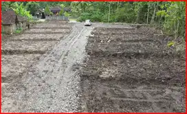 Kulon Progo, Tanah Jogja Dekat Pasar Sentolo