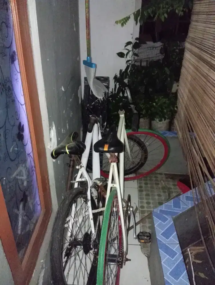 Sepeda fixie Clasik dan sepeda gunung