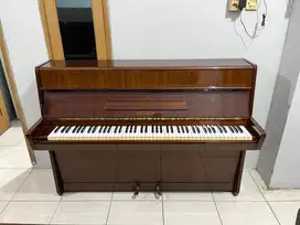 Piano Petrof Cheko