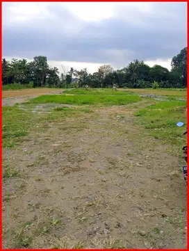 7 Menit Kampus UII Yogyakarta, Tanah Jogja SHM di Pandanaran