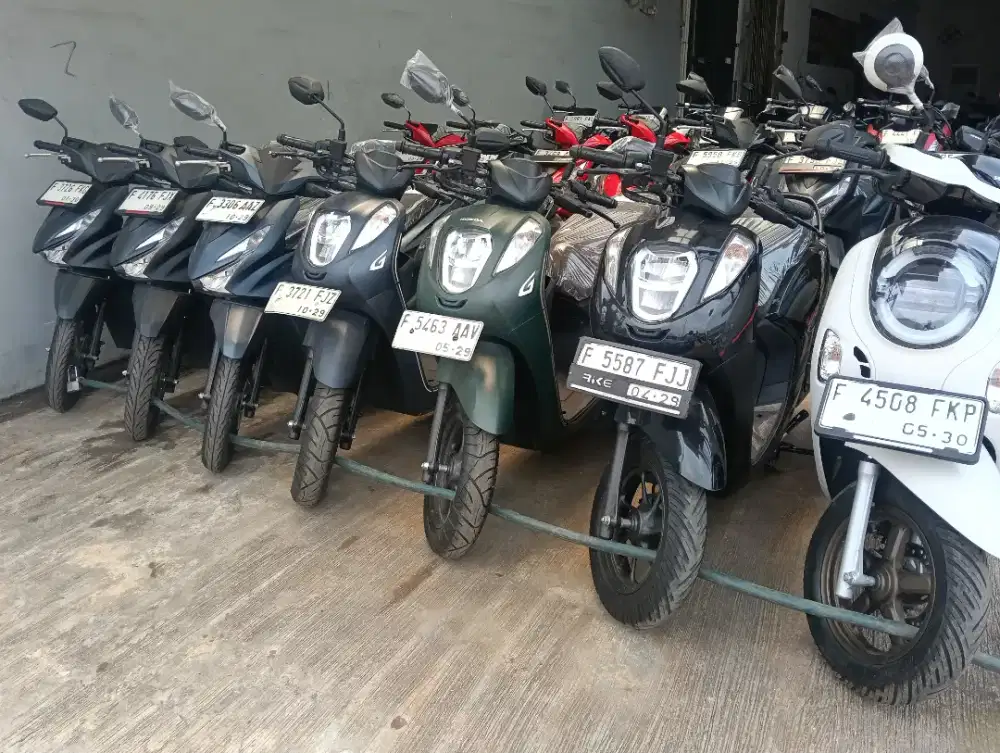 Murah meriah pokok y geas Genio y