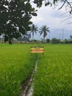 Kota Tasikmalaya JUAL TANAH + SAWAH, Harga Nego. Samping Jalan