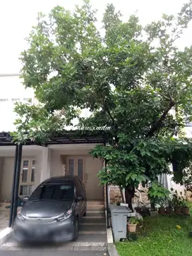 Dijual Rumah Cluster Thomson Scientia Gading Serpong Tangerang