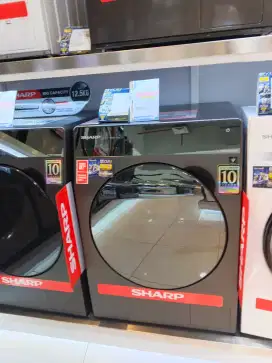 Jual Mesin Cuci Sharp ESFL1410DPX