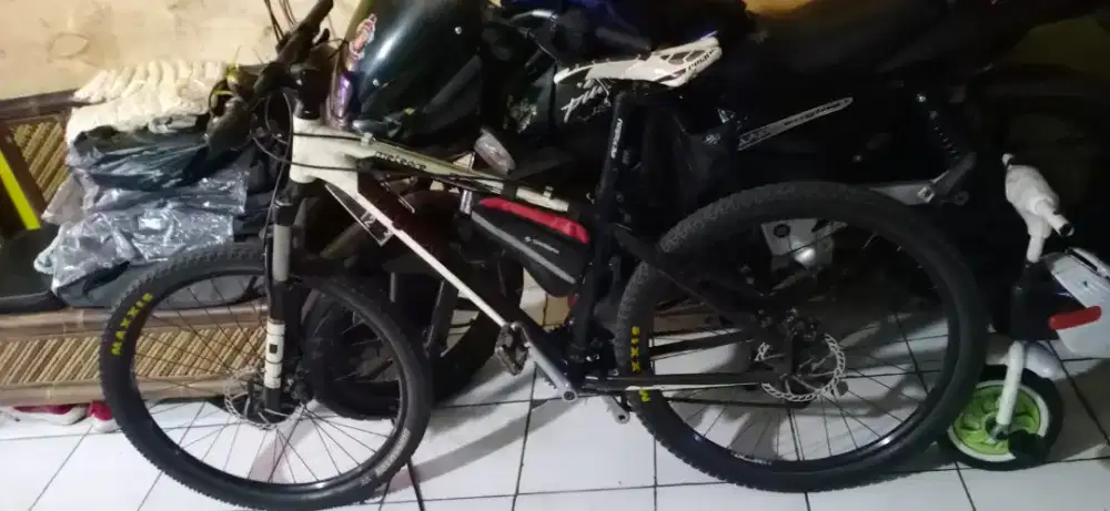 Sepeda mongoose