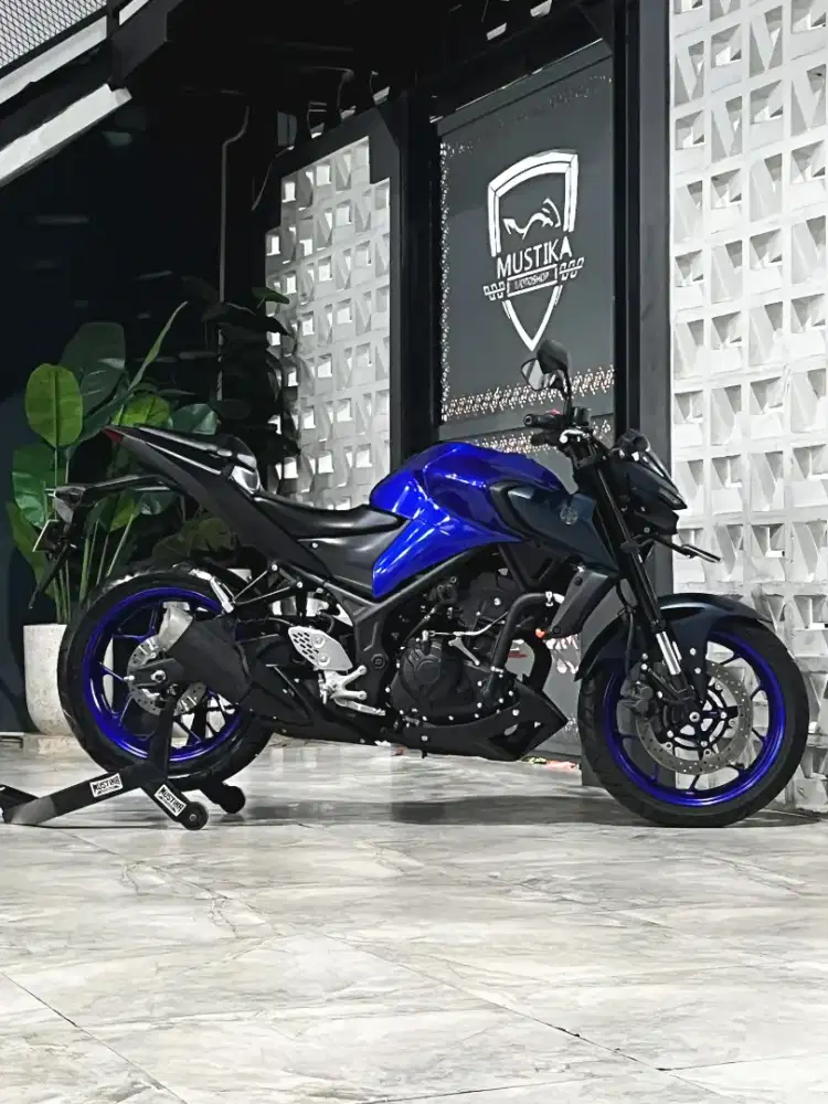 Naked 250 Ganteng‼️Yamaha MT25 2023. Odo 7rb. DANNY Mustika Motoshop