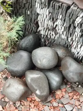 Batu koral abu abu