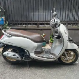 Scoopy pemakaian wanita