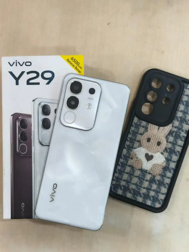 Vivo Y29 8/256 Fullset