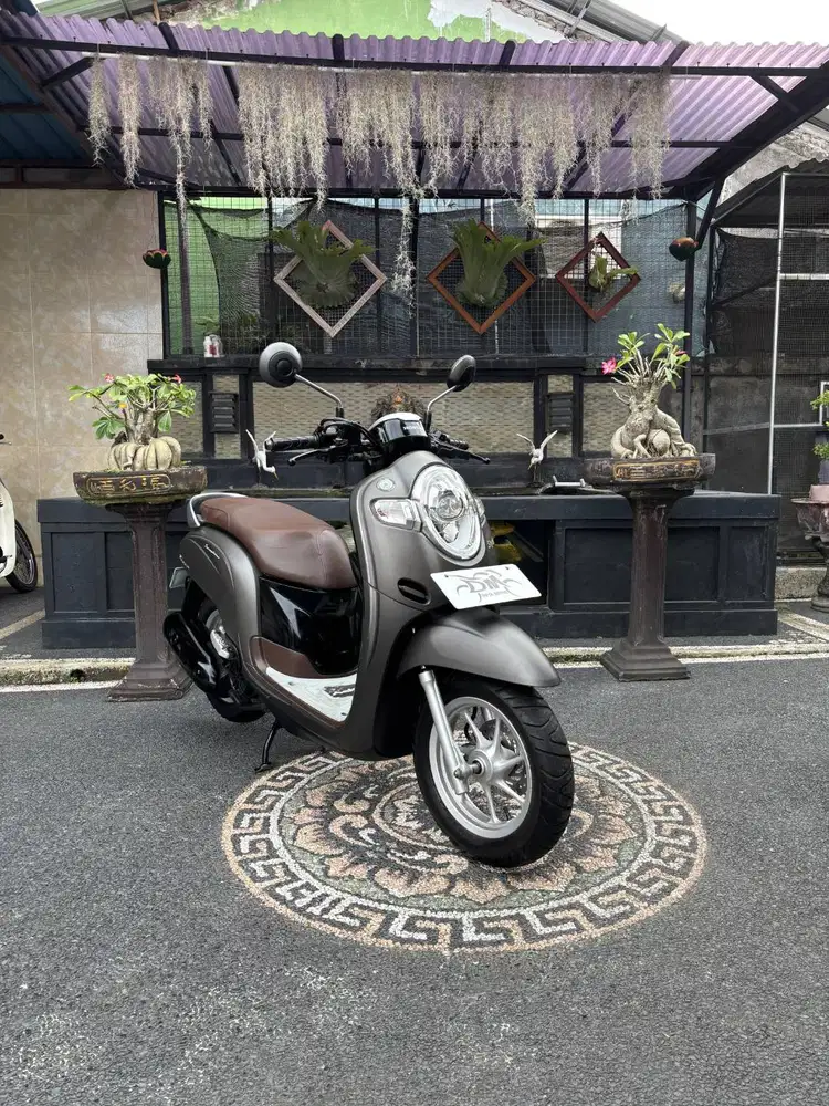 Scoopy stylis tahun 2018