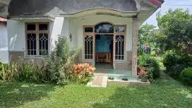 DIJUAL CEPAT RUMAH DAN TANAH LOKASI STRATEGIS DI MERTASINGA CILACAP