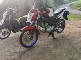 velek jari jari