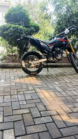 Barang istimewa jarang ada.